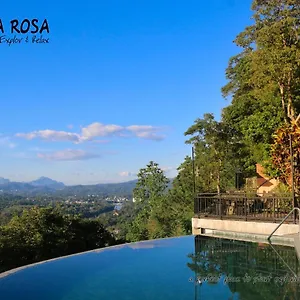 Rosa Guest house