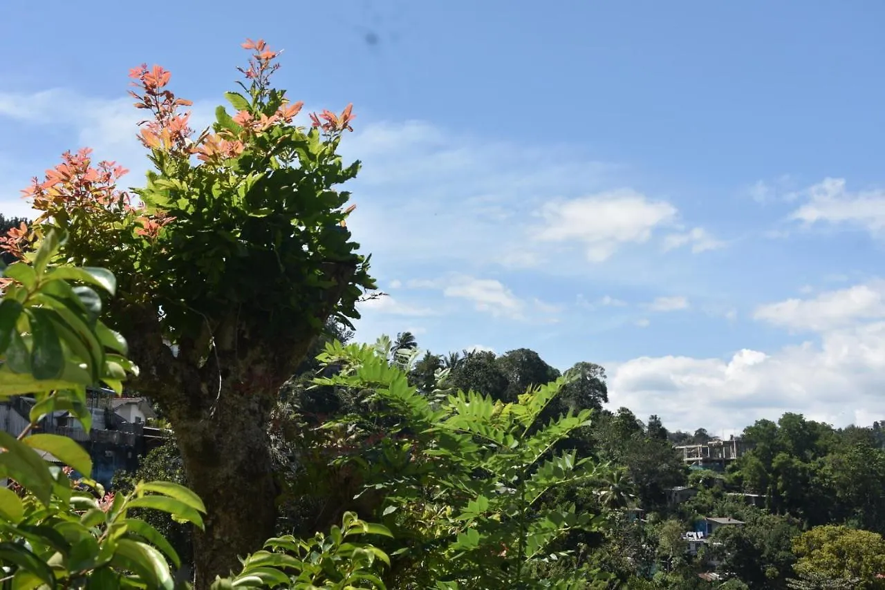 Cozy Homestay Kandy Guest house