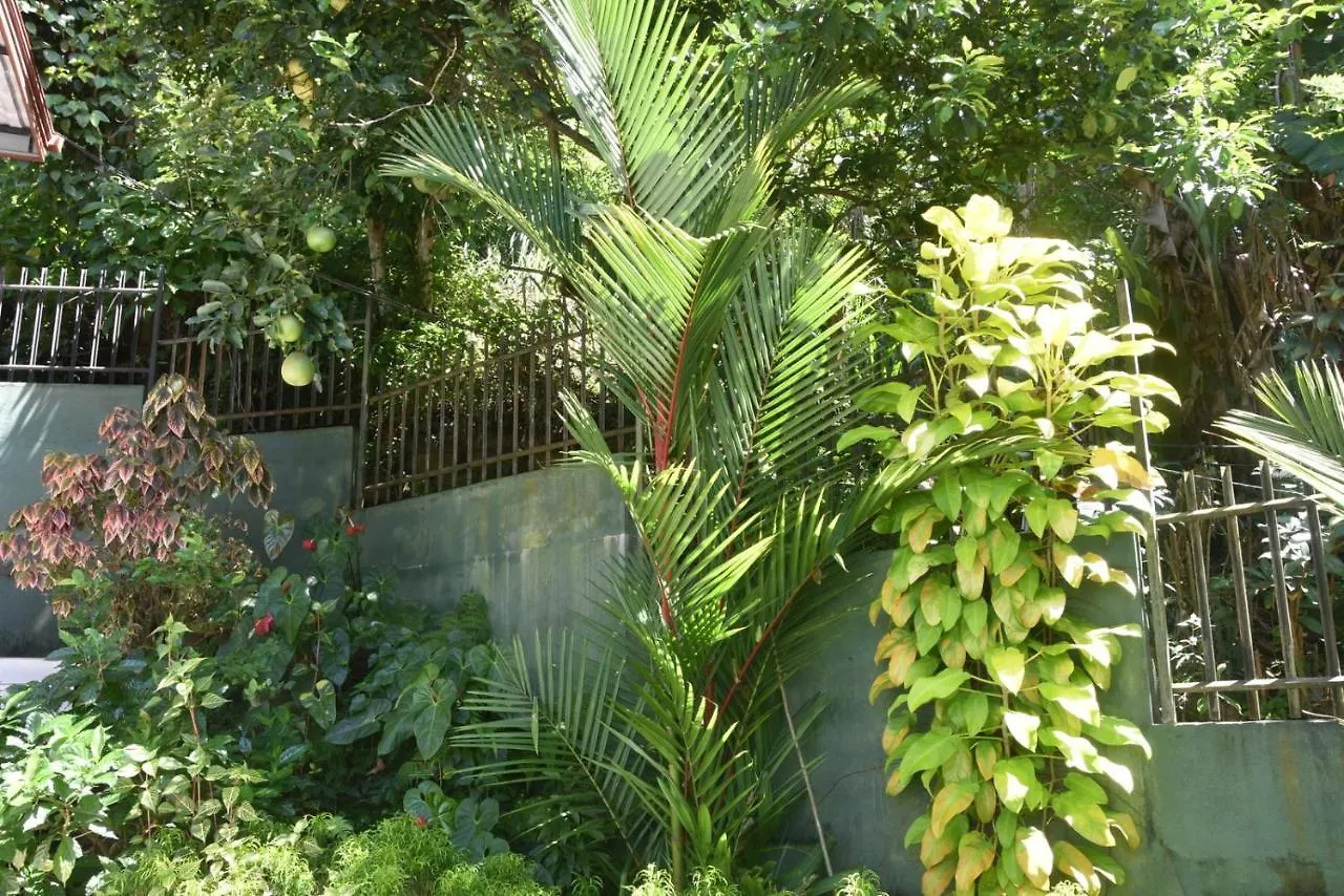 Guest house Cozy Homestay Kandy